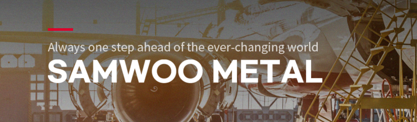 samwoo metal
